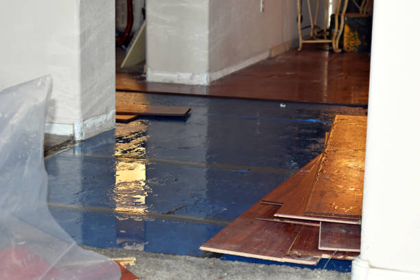 Professional Water Damage Restoration technician working in Oldenburg, IN